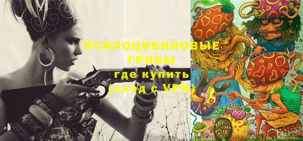 тгк Беломорск