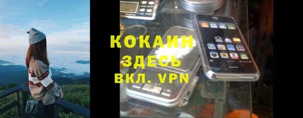 твердый Белокуриха