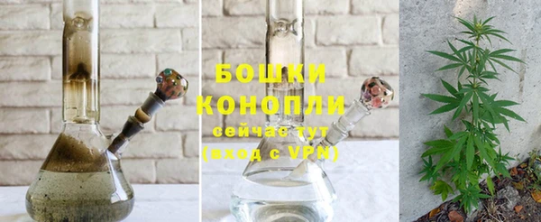твердый Белокуриха