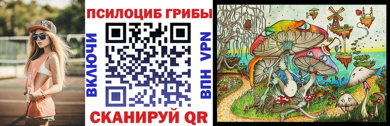 Псилоцибиновые грибы Psilocybe  где найти   Волгореченск 