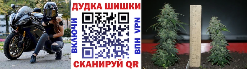 Бошки марихуана LSD WEED Волгореченск